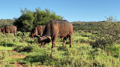  Mokala National Park