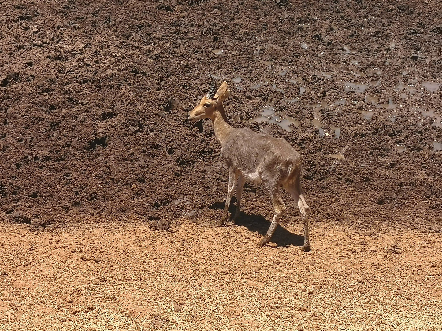  Mokala National Park