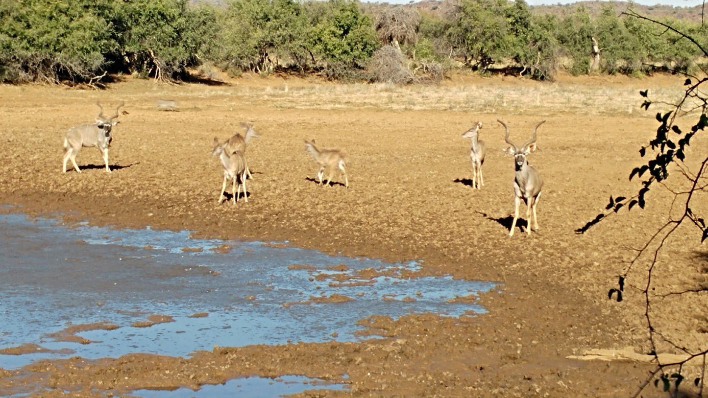  Mokala National Park