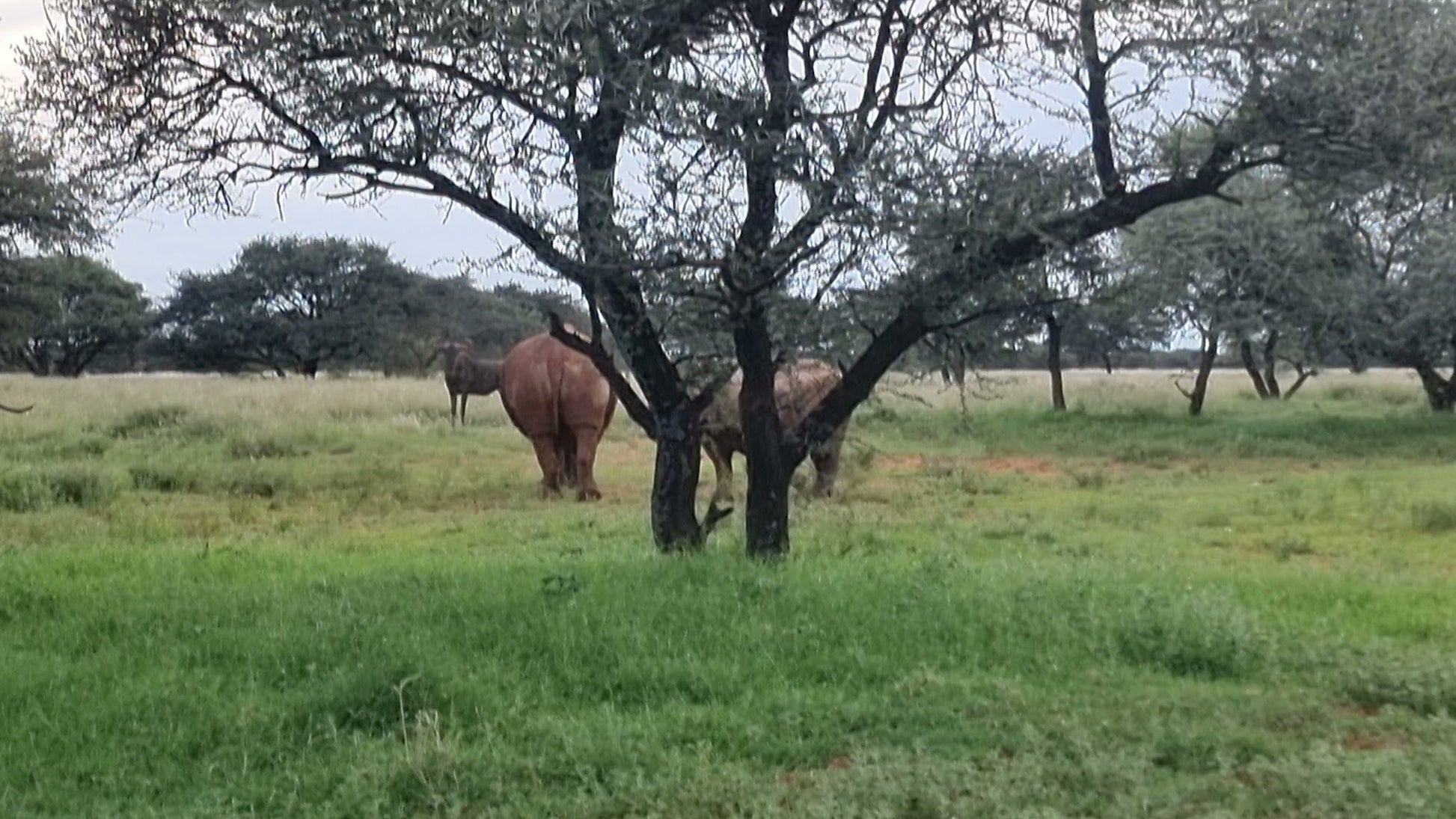  Mokala National Park