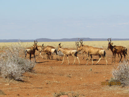  Mokala National Park