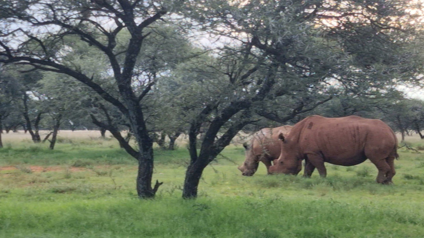  Mokala National Park