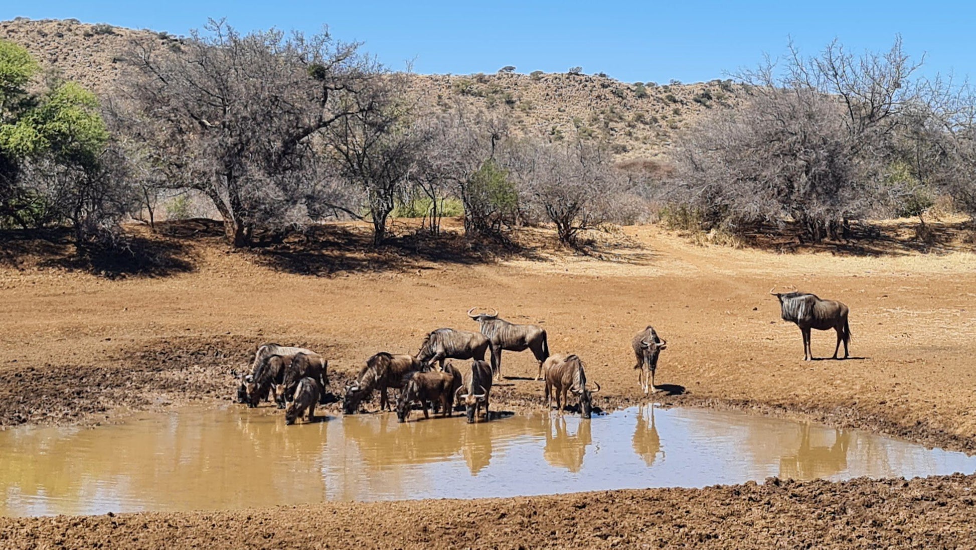  Mokala National Park