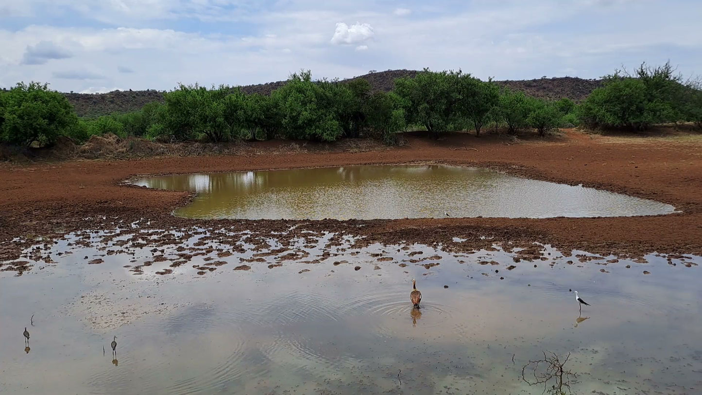  Mokala National Park