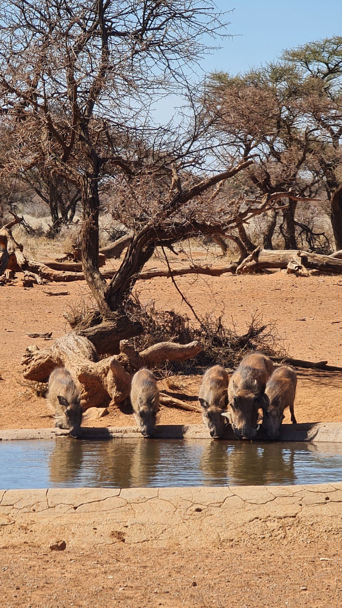  Mokala National Park