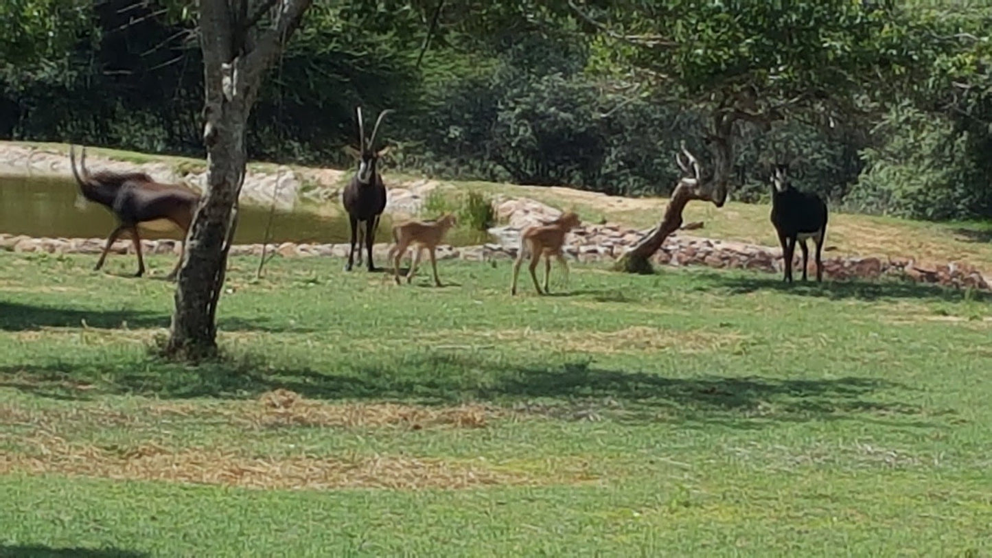  Mokolo Dam Nature Reserve