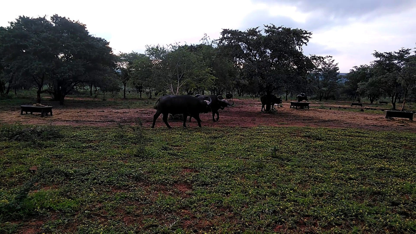  Mokolo Dam Nature Reserve