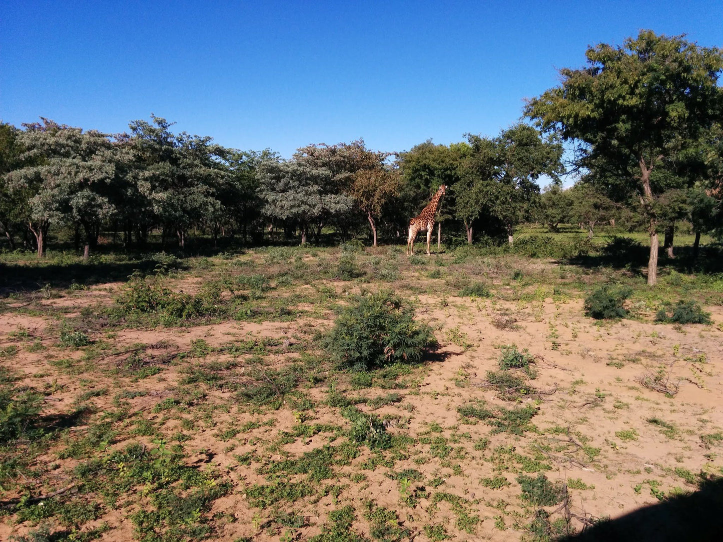  Mokolo Dam Nature Reserve