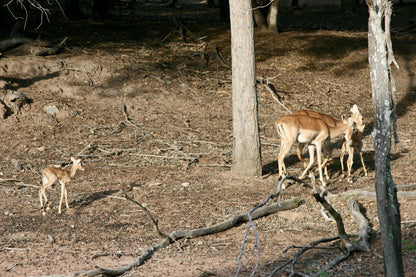  Mokolo Dam Nature Reserve