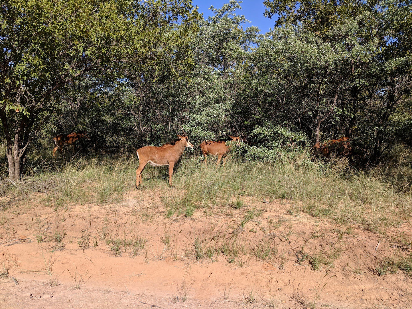  Mokolo Dam Nature Reserve