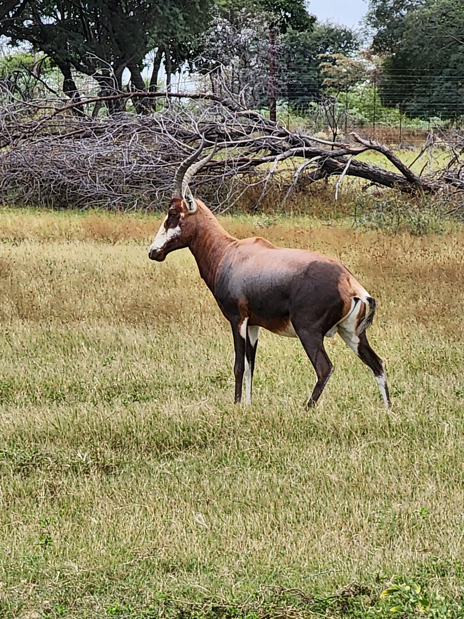  Mokolo Dam Nature Reserve