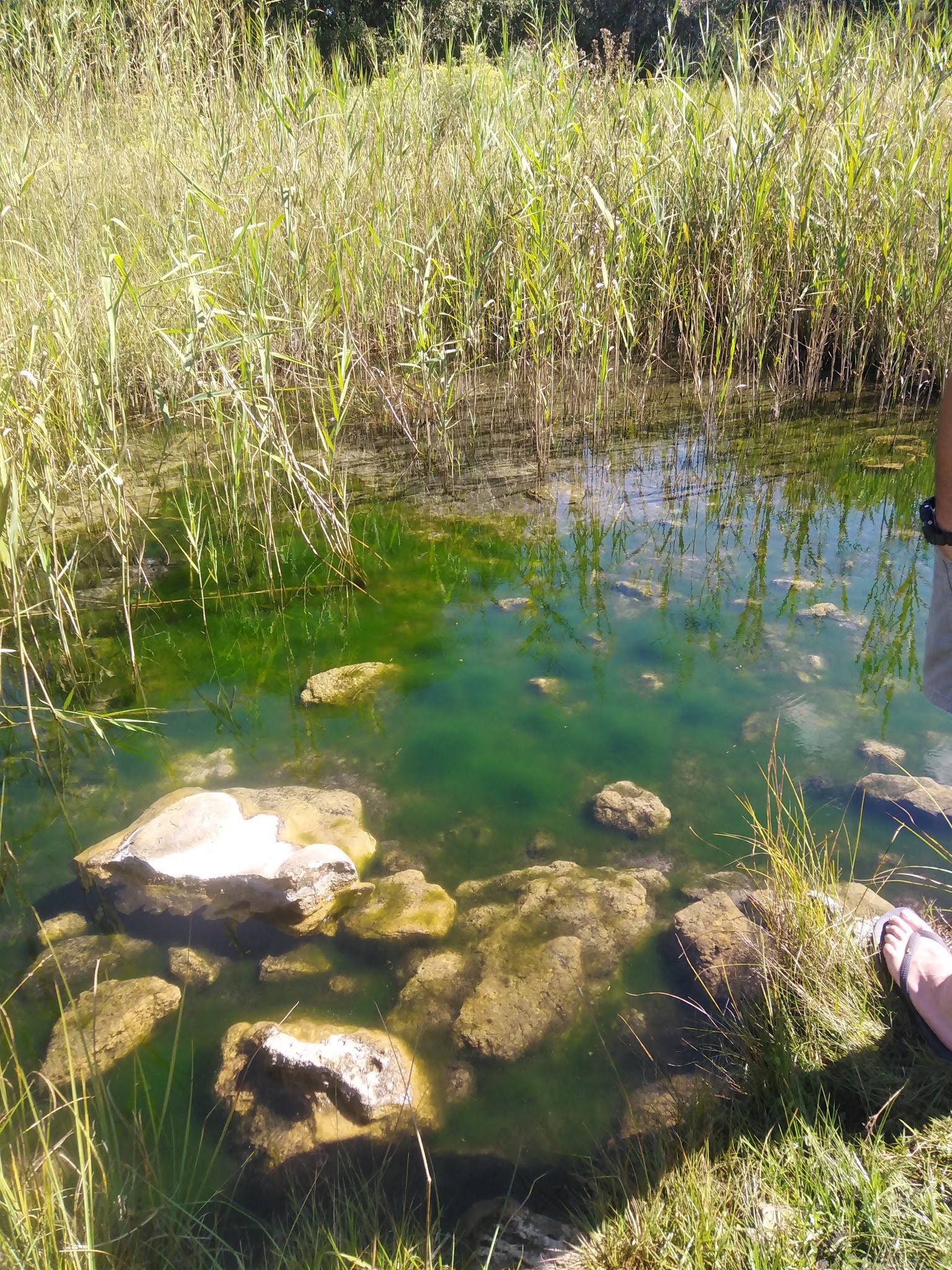  Molemane Eye Nature Reserve