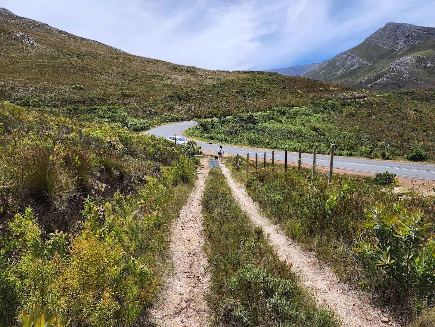  Mont Rochelle Nature Reserve