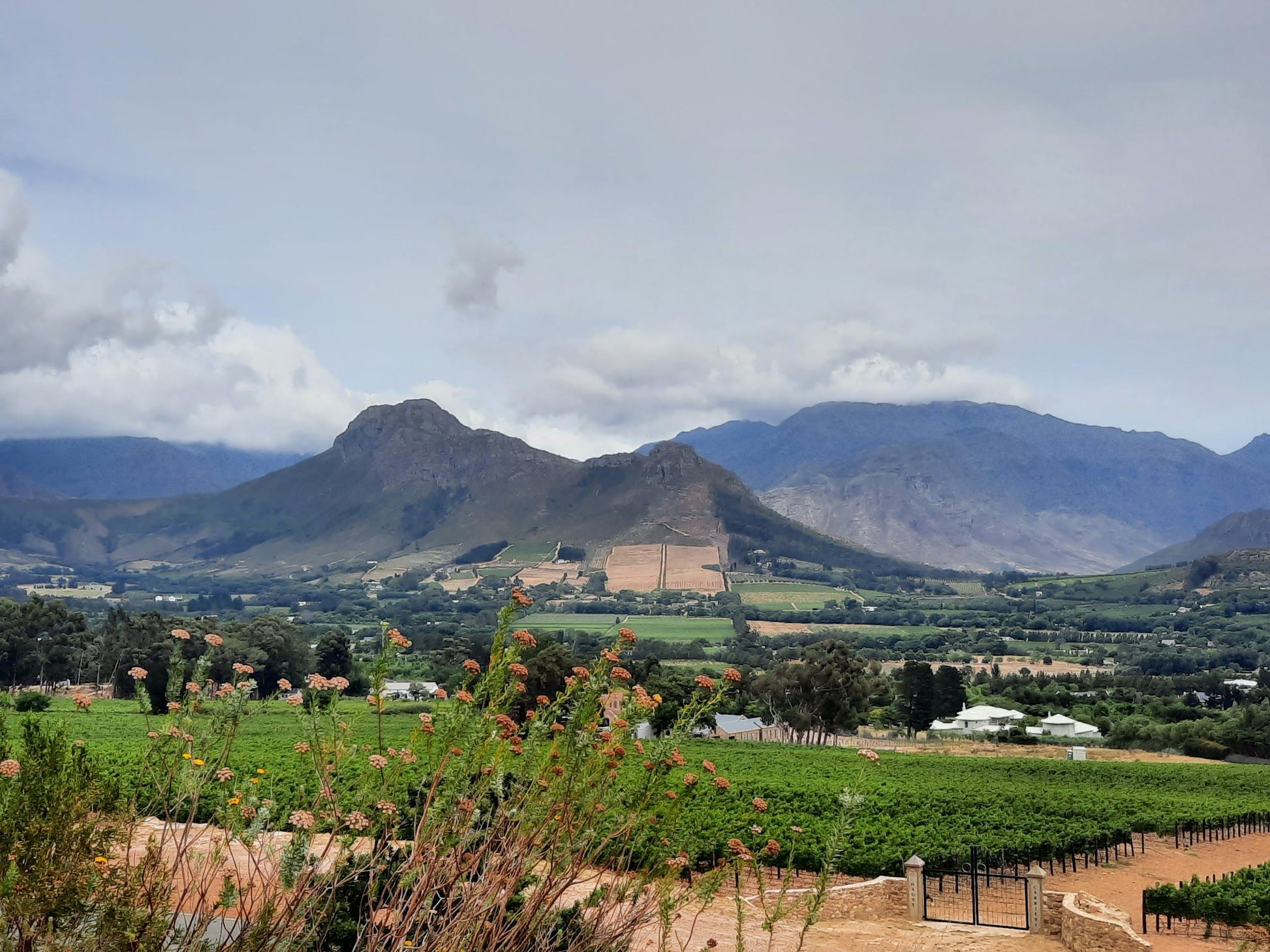  Mont Rochelle Nature Reserve