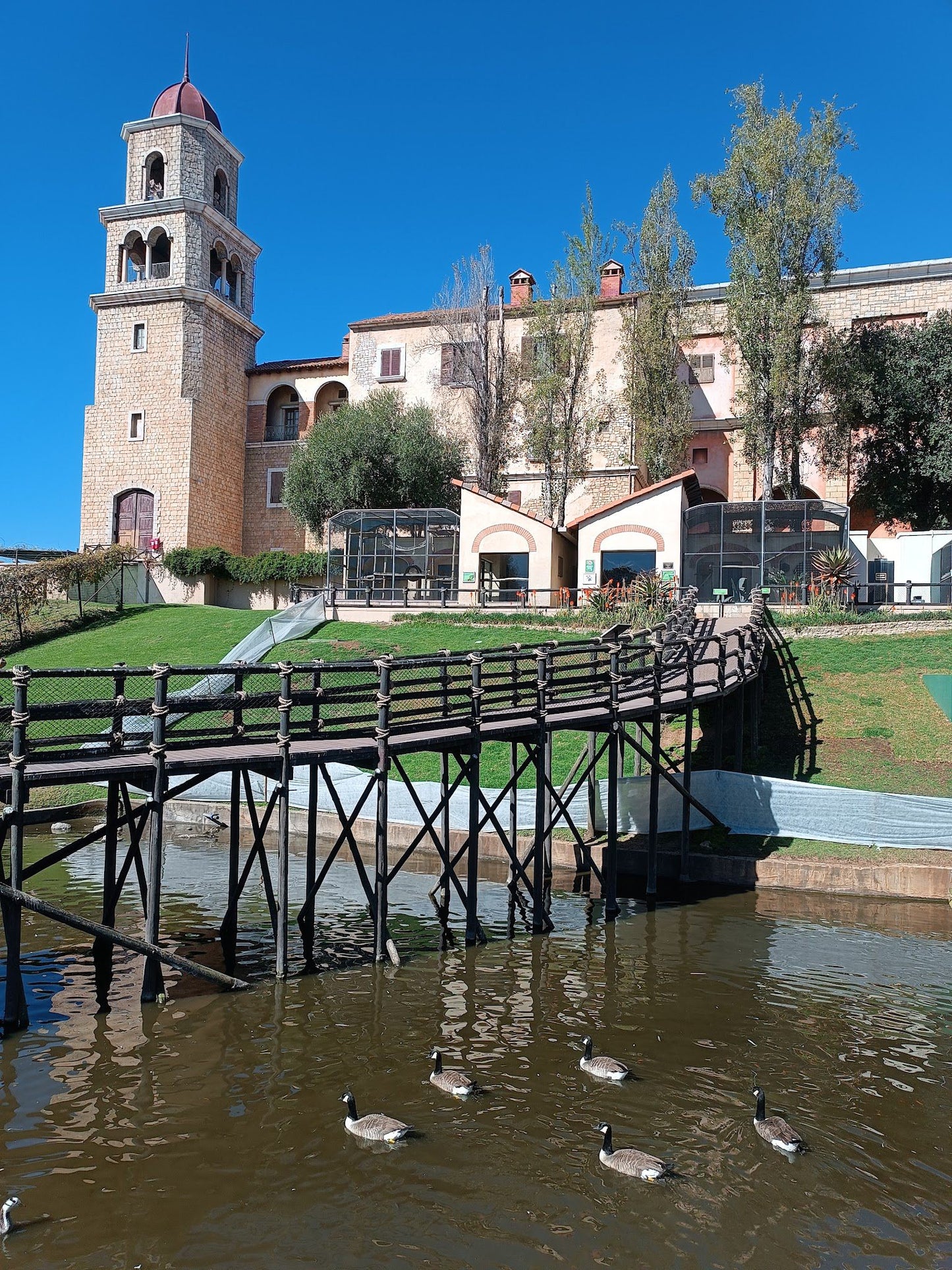  Montecasino Bird Gardens