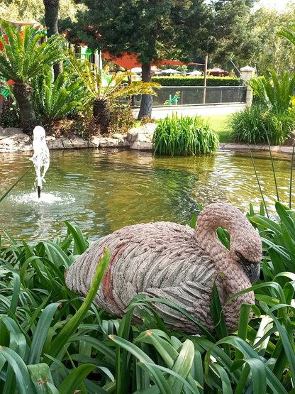  Montecasino Bird Gardens