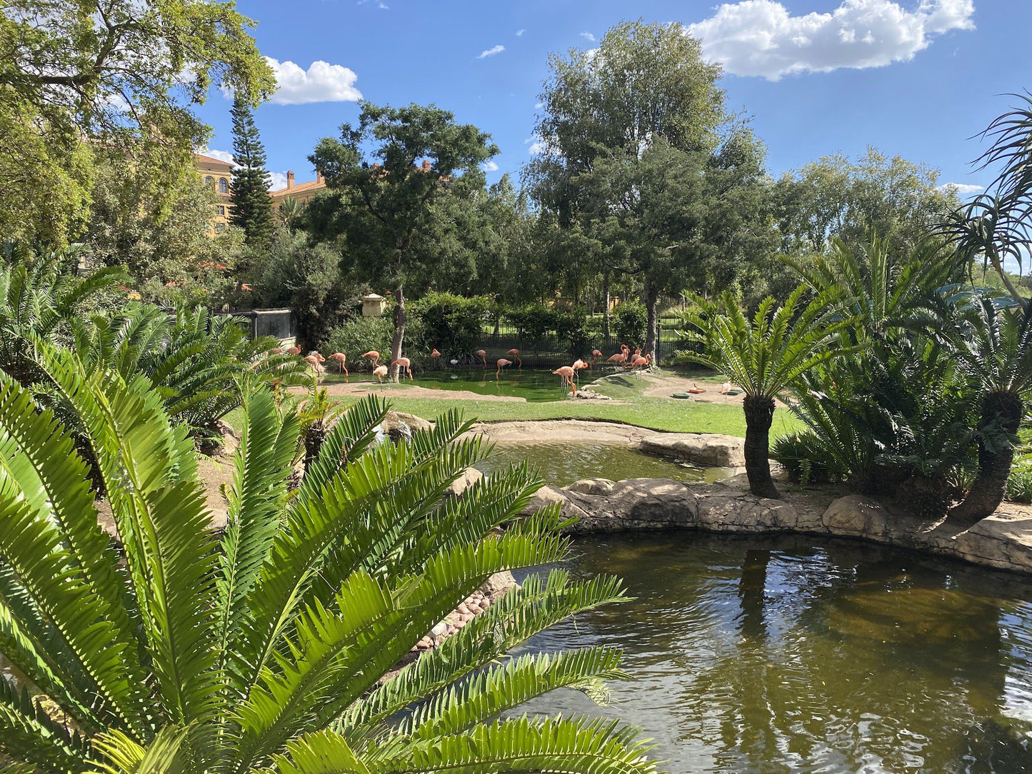  Montecasino Bird Gardens