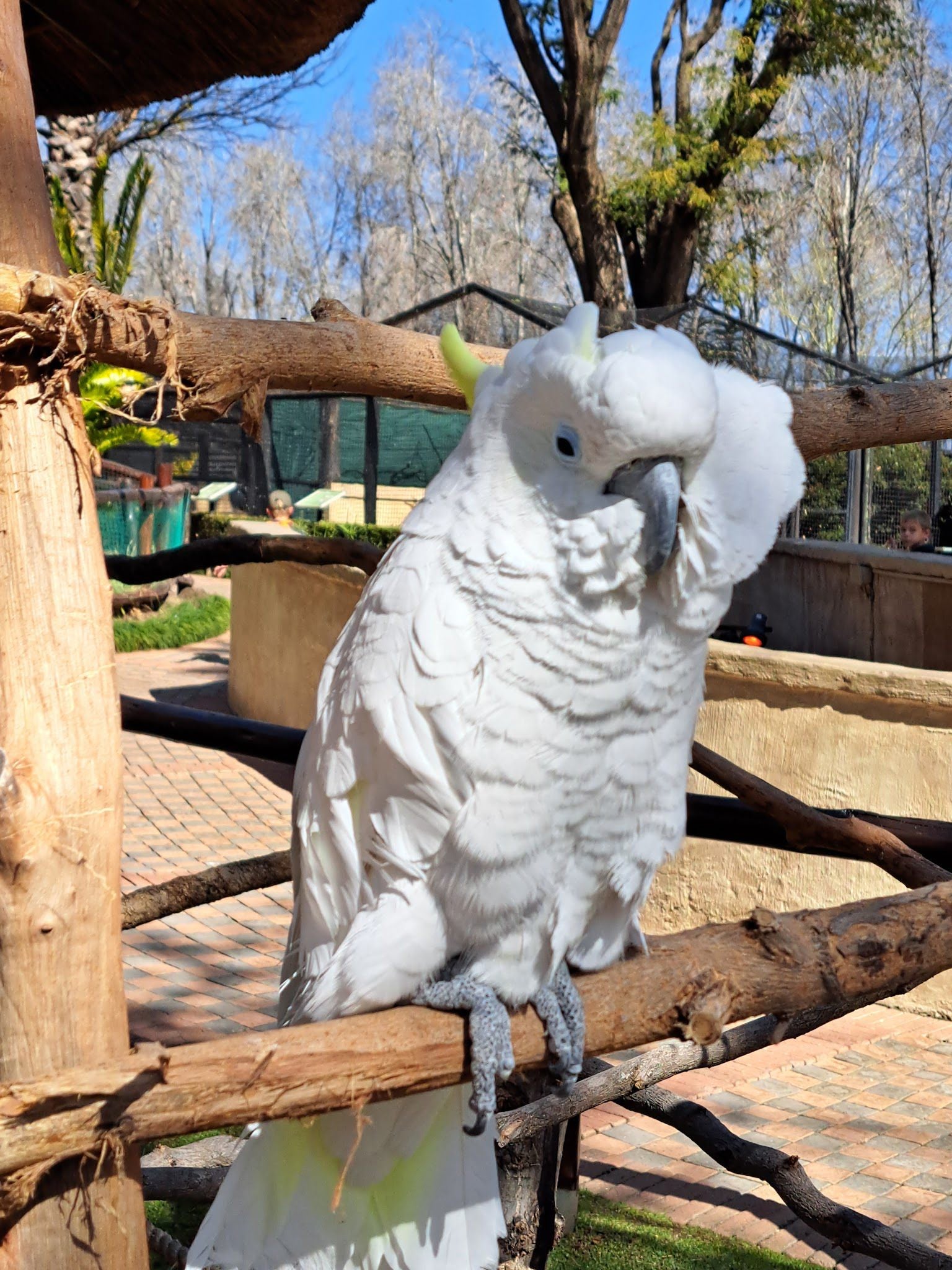  Montecasino Bird Gardens