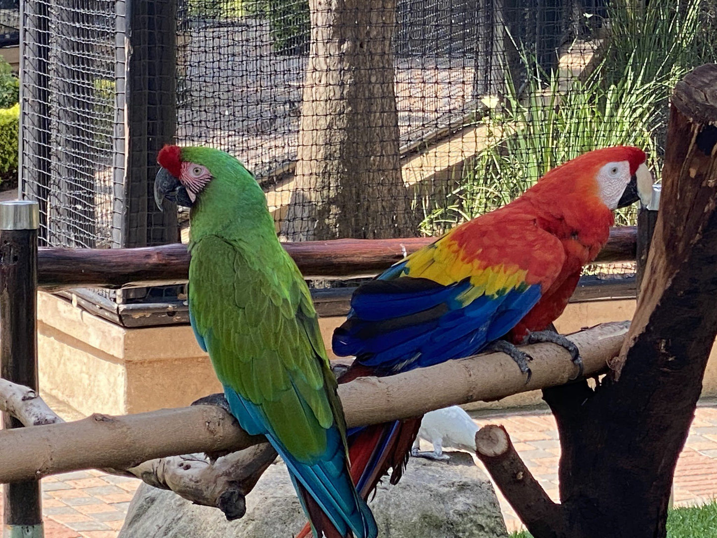  Montecasino Bird Gardens