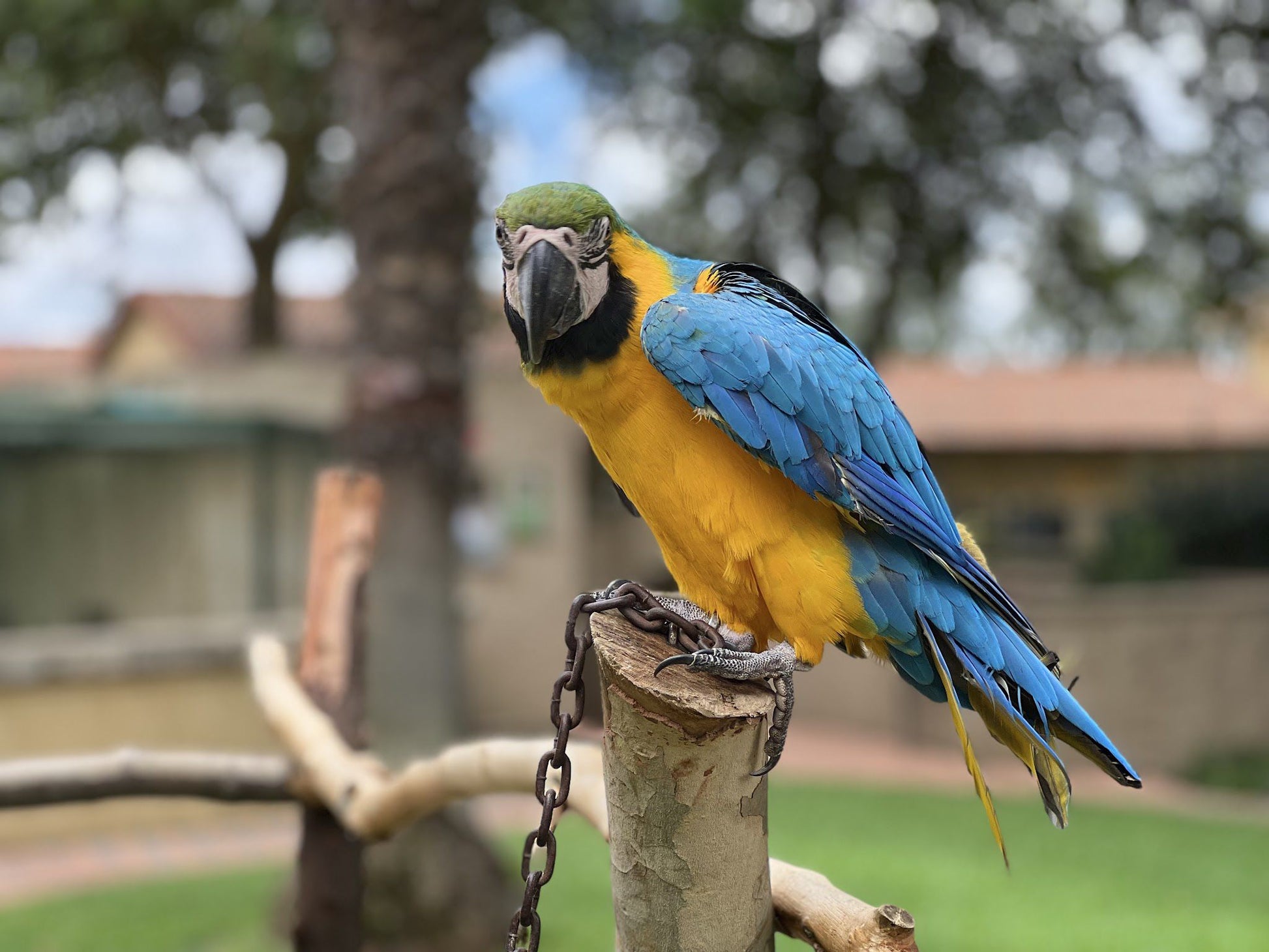  Montecasino Bird Gardens