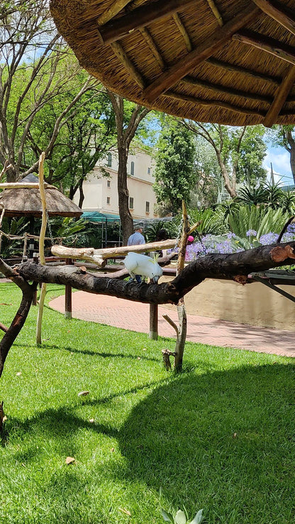  Montecasino Bird Gardens