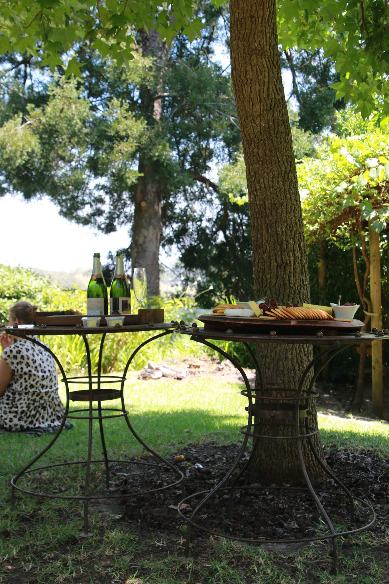  Mooiplaas Wine Estate and Private Nature Reserve