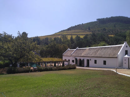 Morgenhof Wine Estate