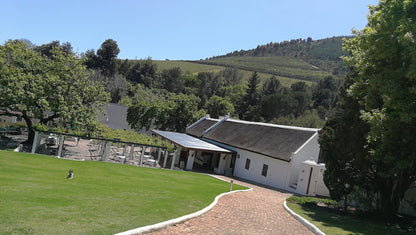 Morgenhof Wine Estate