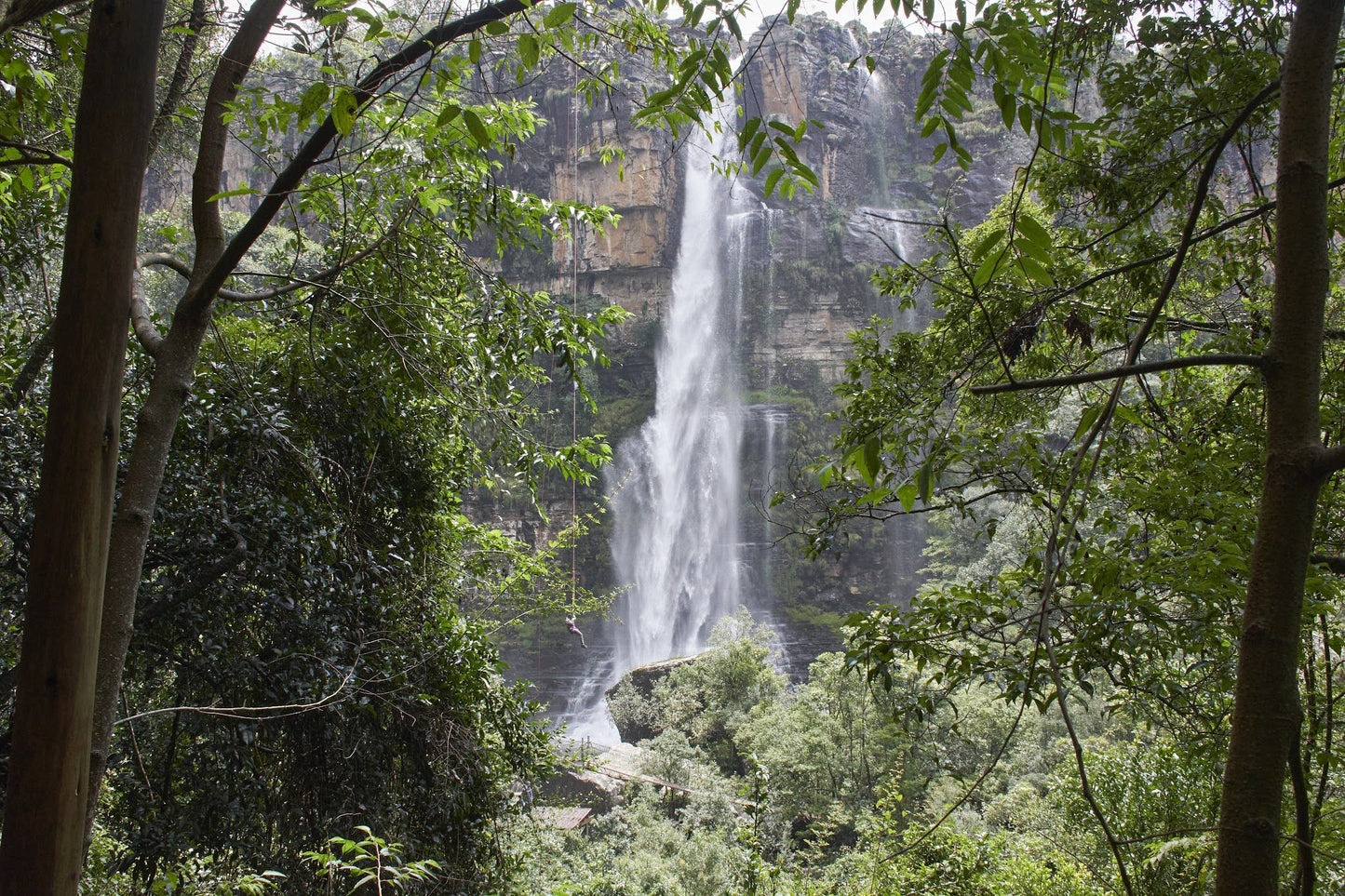  Motitsi Falls @ Graskop Gorge Lift Co