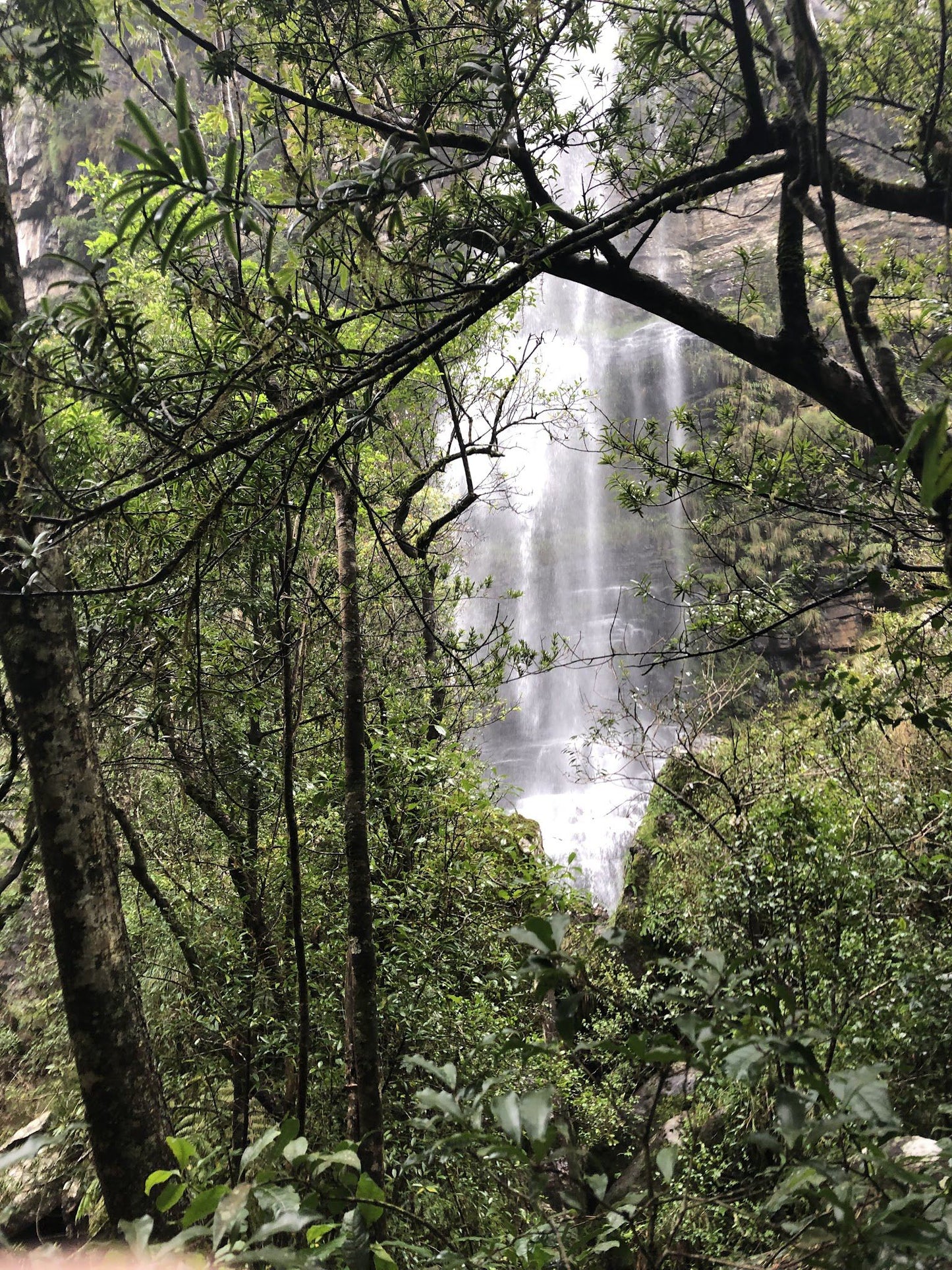  Motitsi Falls @ Graskop Gorge Lift Co