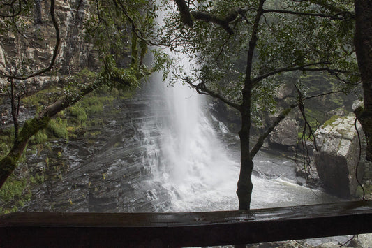  Motitsi Falls @ Graskop Gorge Lift Co