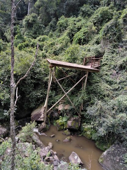  Motitsi Falls @ Graskop Gorge Lift Co