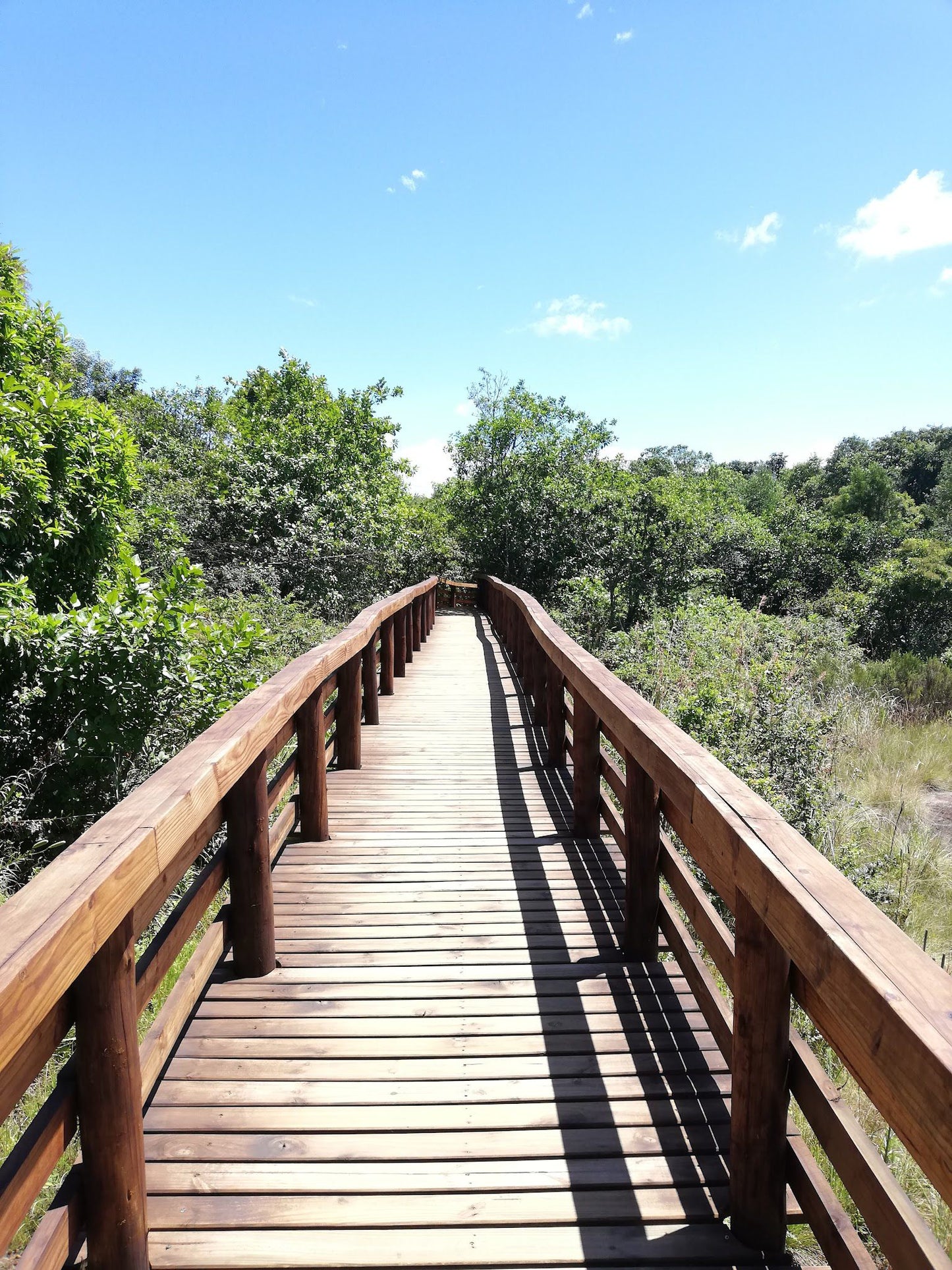  Motitsi Falls @ Graskop Gorge Lift Co