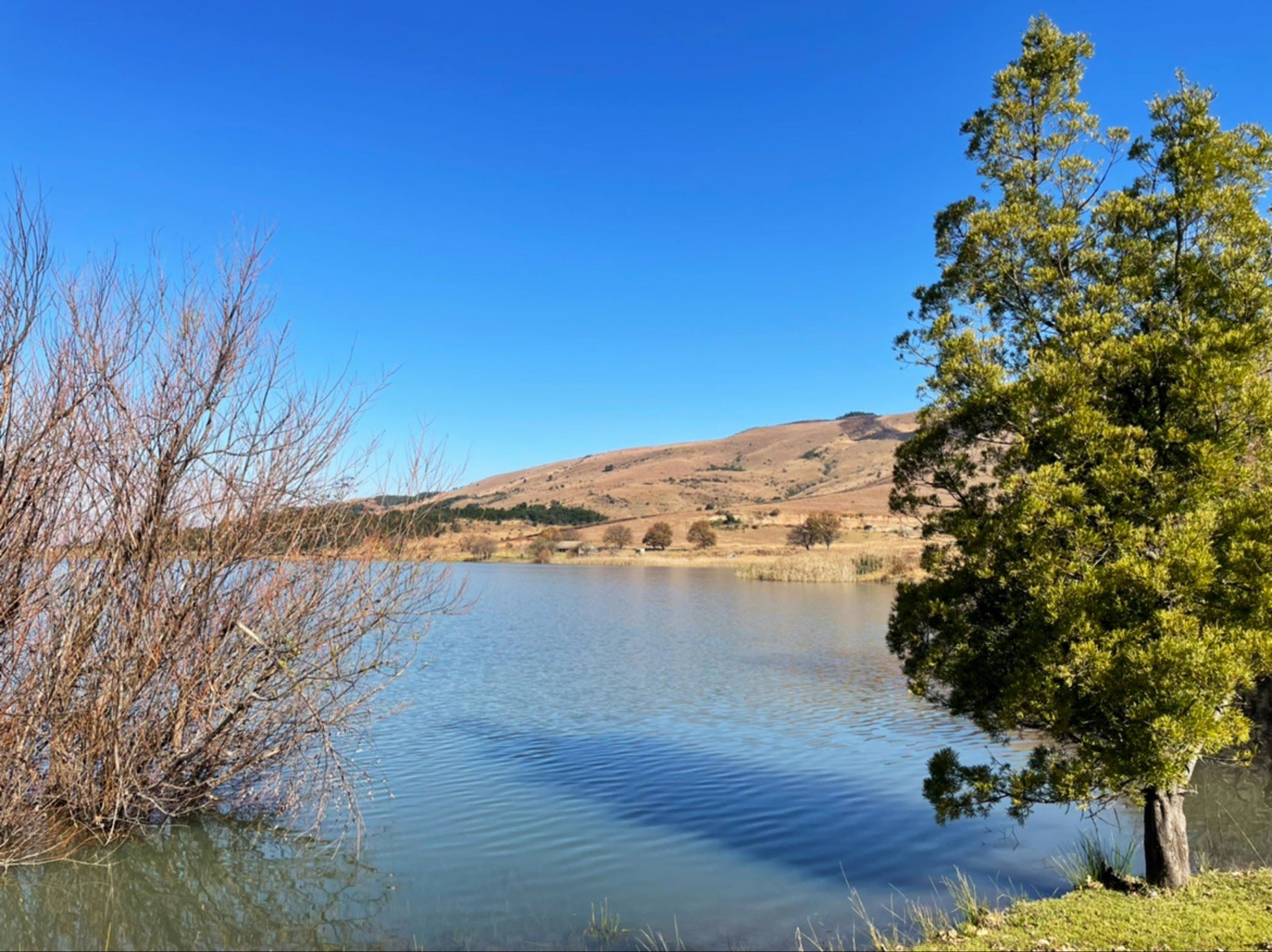  Mount Currie Nature Reserve Kokstad