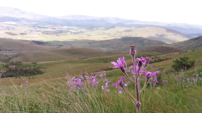  Mount Currie Nature Reserve Kokstad