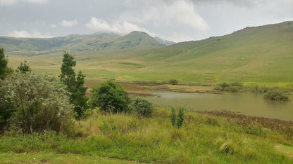  Mount Currie Nature Reserve Kokstad