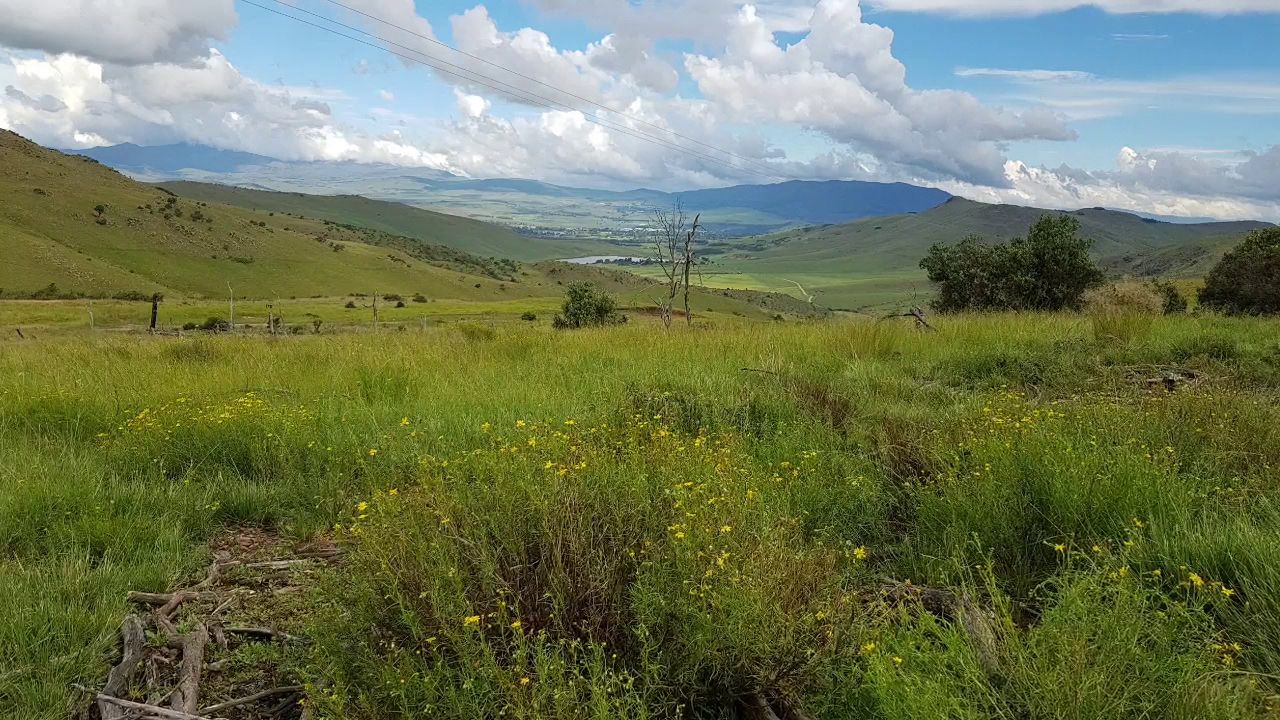  Mount Currie Nature Reserve Kokstad