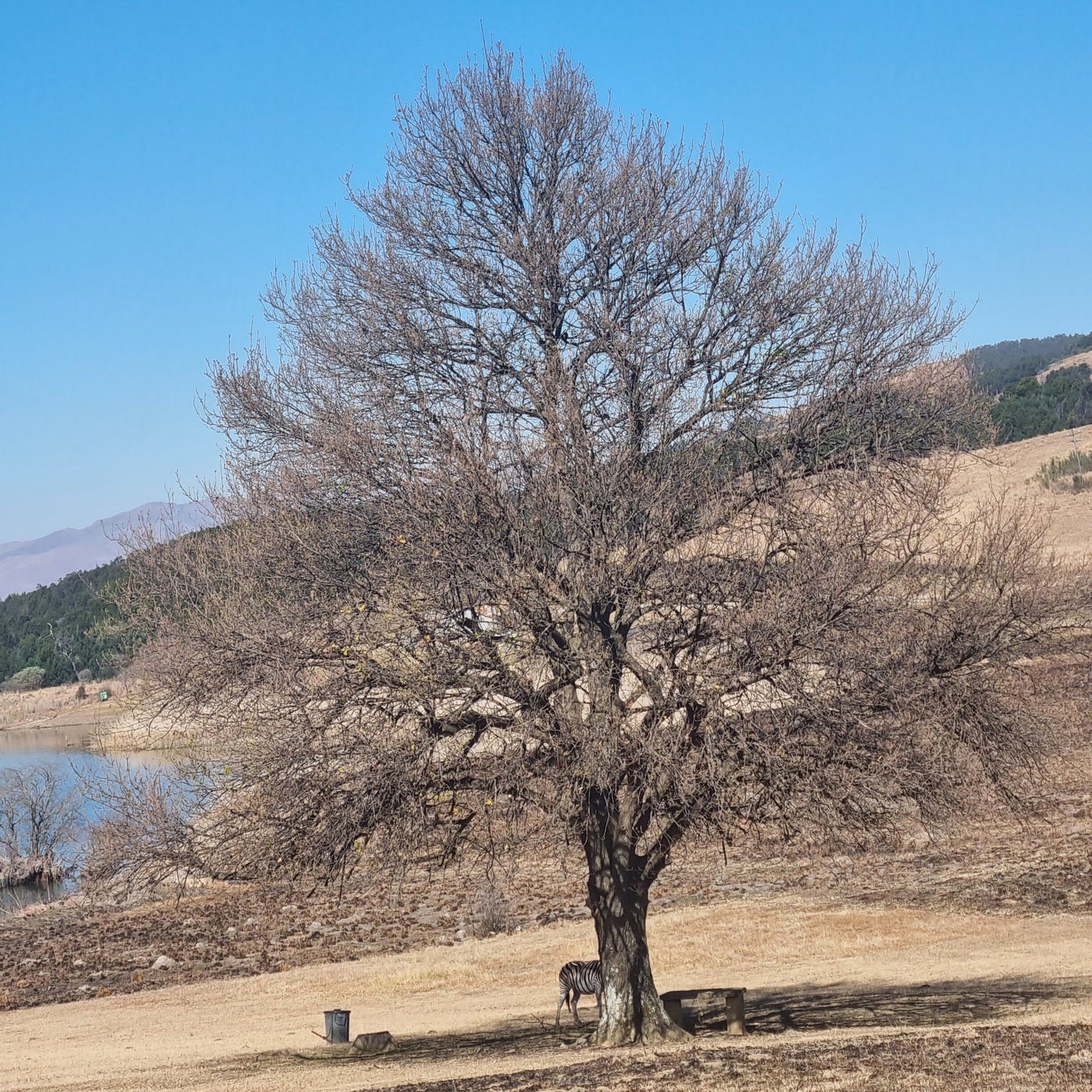  Mount Currie Nature Reserve Kokstad