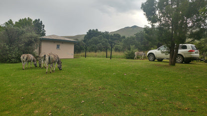  Mount Currie Nature Reserve Kokstad