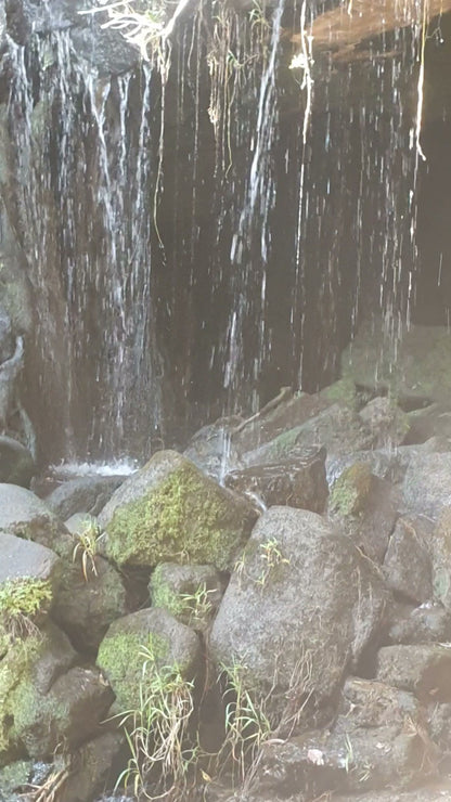  Mountain Sanctuary Park Perdewater Grotto