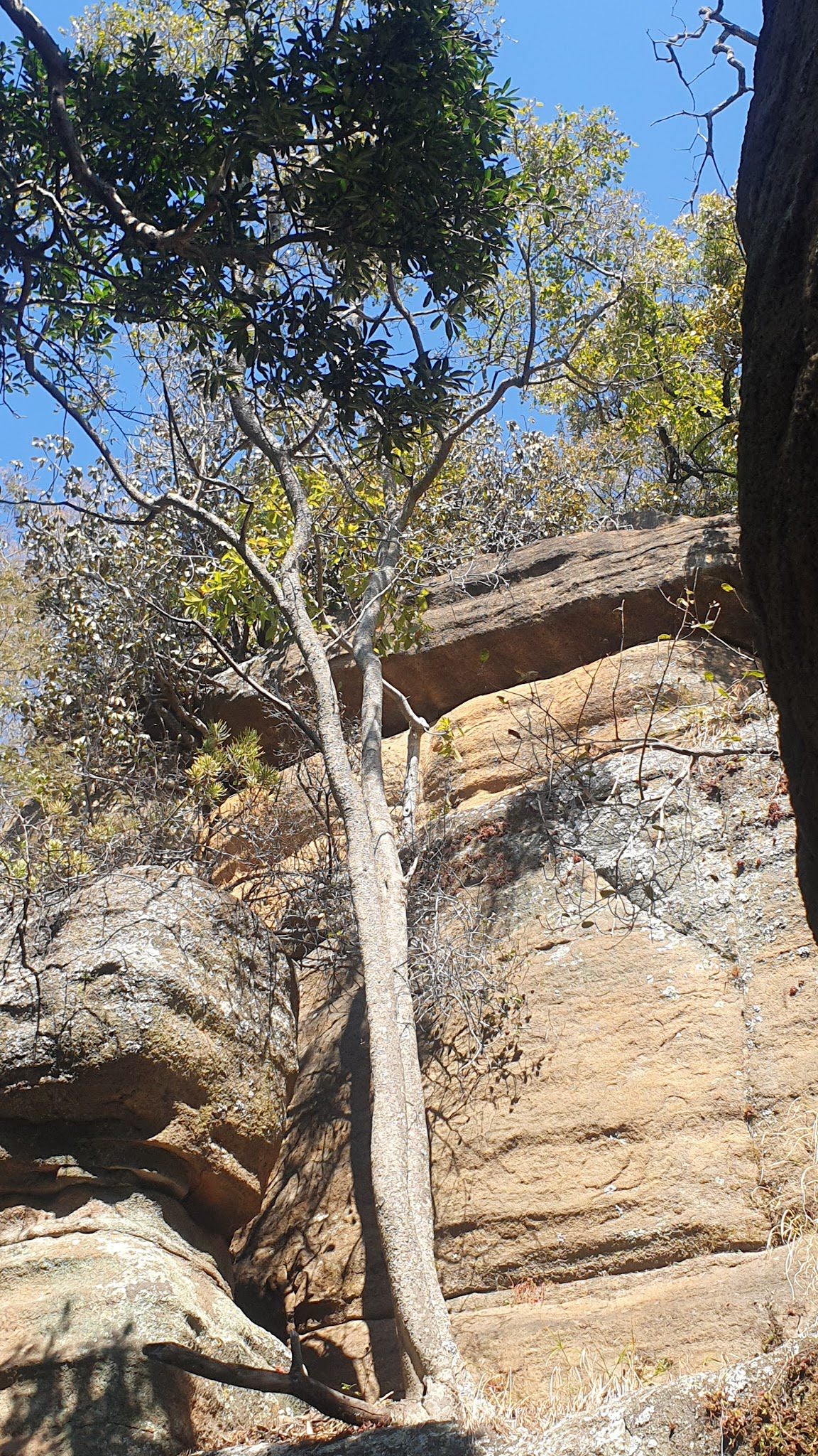  Mountain Sanctuary Park Perdewater Grotto