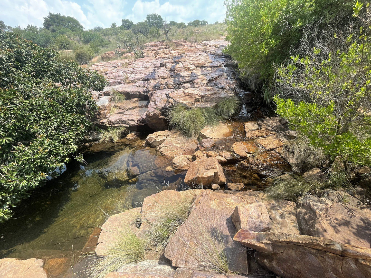  Mountain Sanctuary Park Perdewater Grotto