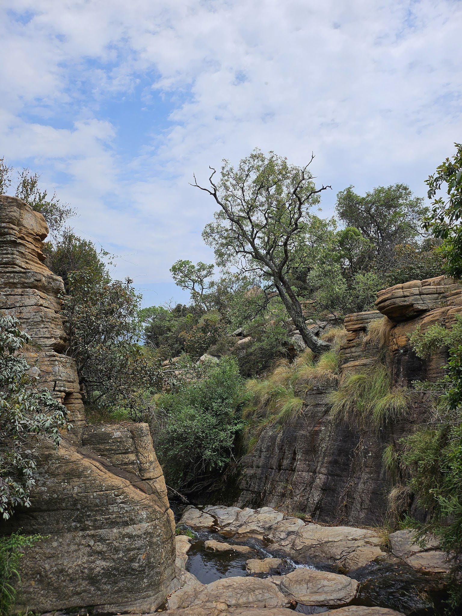  Mountain Sanctuary Park