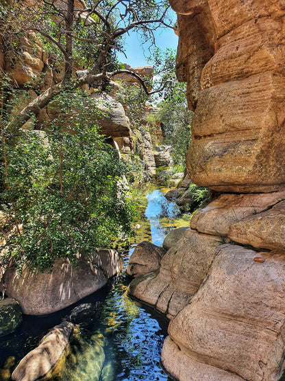  Mountain Sanctuary Park