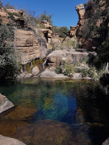  Mountain Sanctuary Park