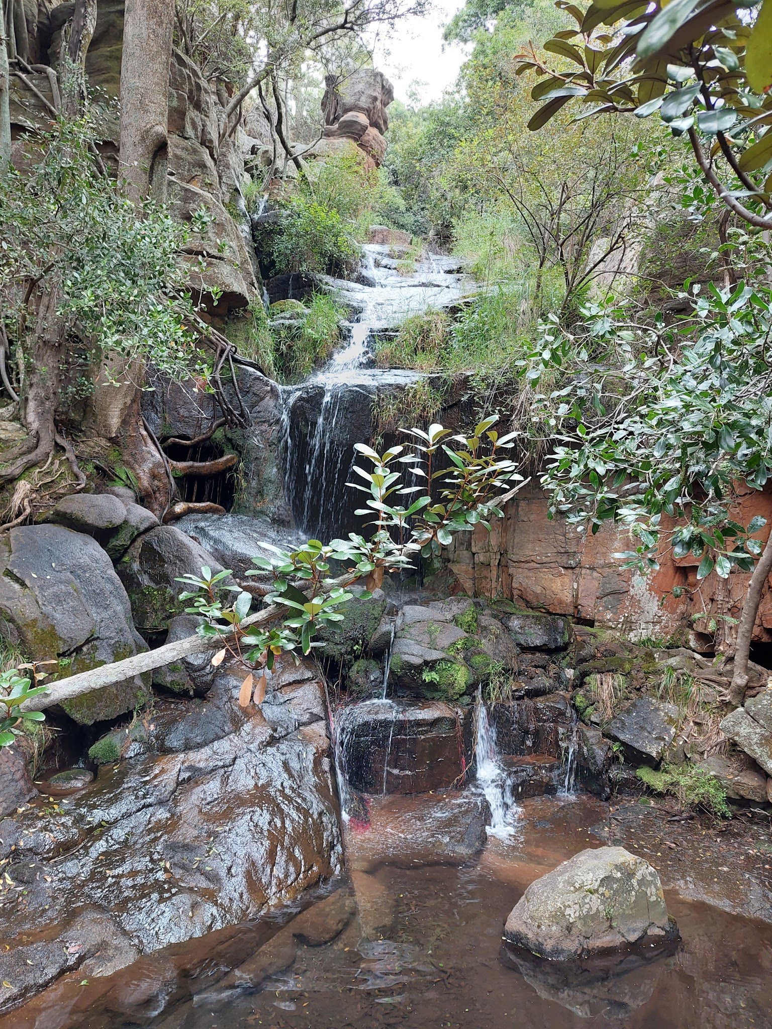  Mountain Sanctuary Park