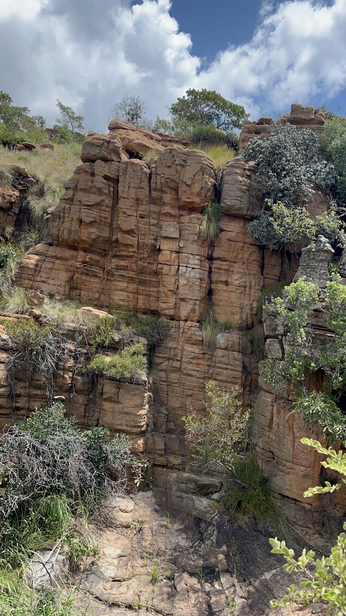  Mountain Sanctuary Park