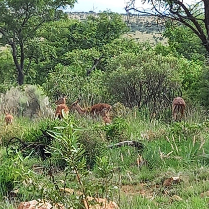  Mountain Sanctuary Park