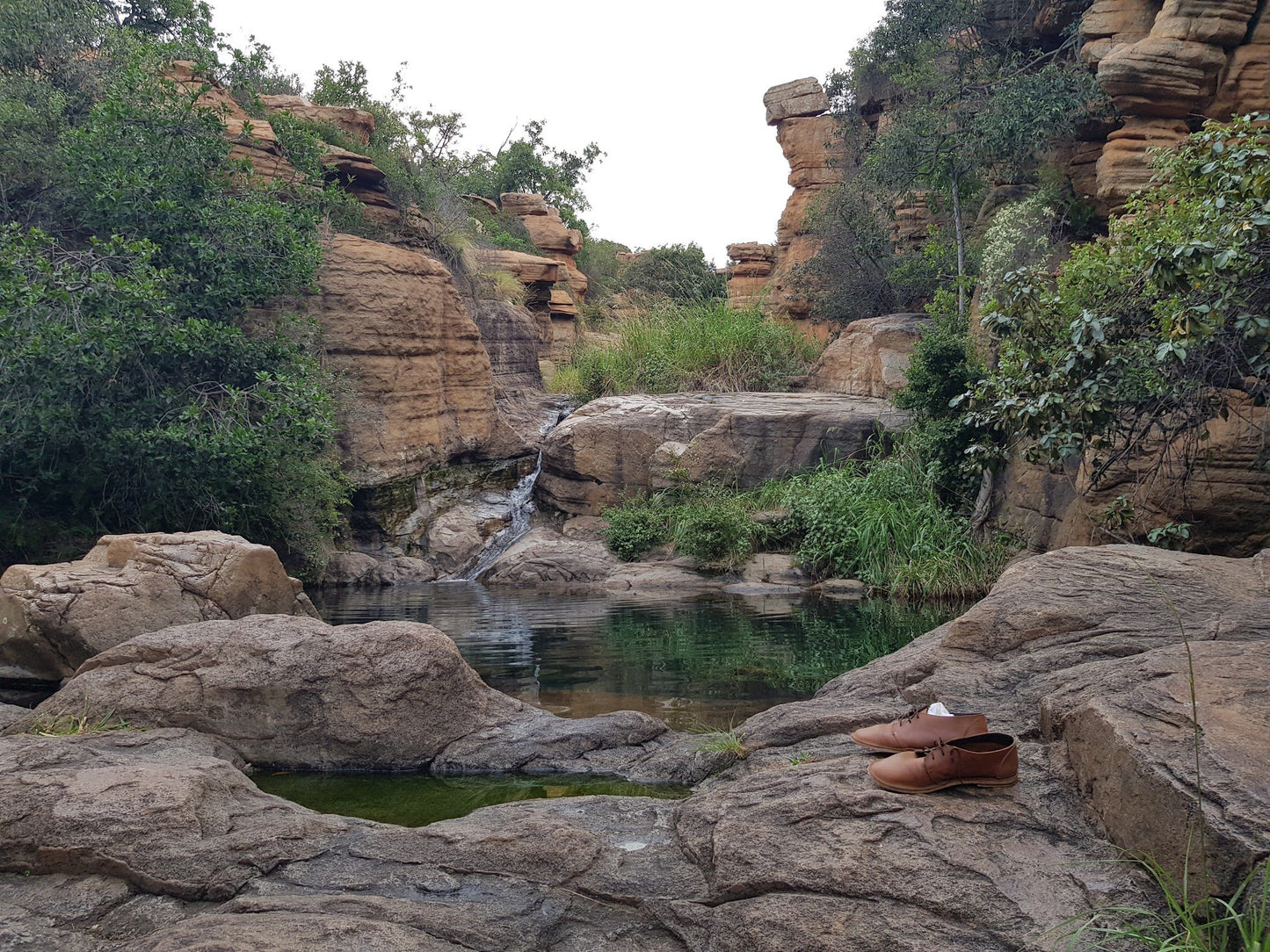  Mountain Sanctuary Park