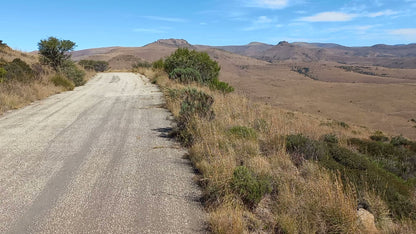  Mountain Zebra National Park